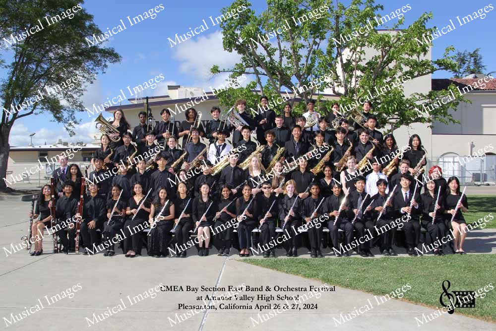 Musical Images
